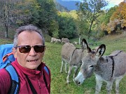 06 Con gli asinelli alla Stalla del Fo sul sent. 506
